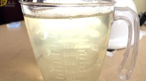 リッター膀胱コレクション 3