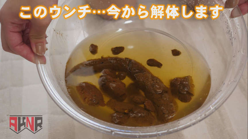 今日たくさんウンチでるかな… 初瀬かのん