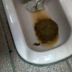 旅するSMパフォーマー曖羽裸ゆめ 私生活うんこ自画撮り