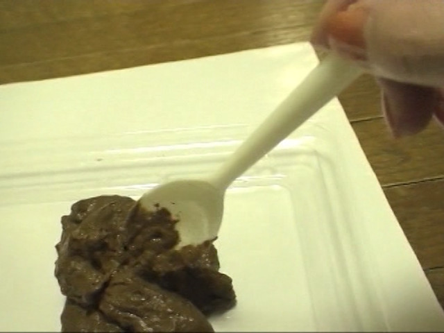 私たち脱糞マニアが収集した映像 脱糞記録