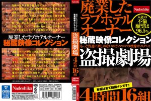 秘蔵映像コレクション 盗撮劇場 4時間16組