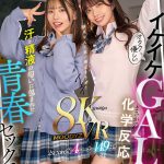 【VR】オタクに優しいイケイケGALとまさかの化学反応…汗と精液の匂いに包まれた青春セックス劇 石原希望 葵いぶき