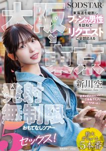 大阪→東京 東海道を縦断しファンの男性を訪ねてリクエストに全部応える発射無制限おもてなしツアー 5セックス！ 新川空